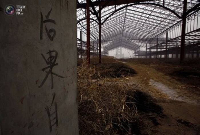 Заброшенный Диснейленд в Китае (18 фото)
