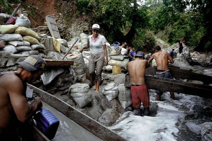 Как добывают золото в Колумбии (31 фото)