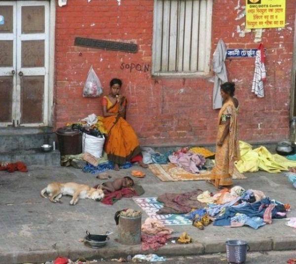 Такое возможно только в Индии (72 фото)