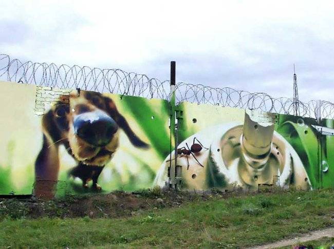 Мегаталантливые граффити (21 фото)