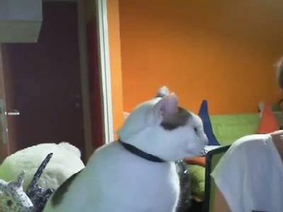 ����� ����!