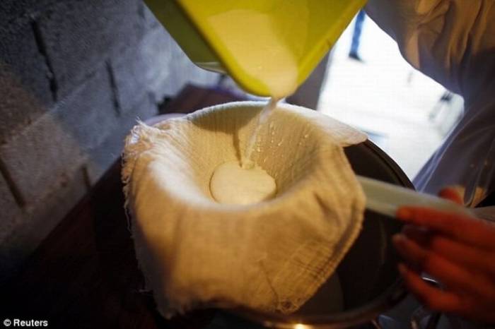 Самый дорогой сыр в мире это Пуле (10 фото)