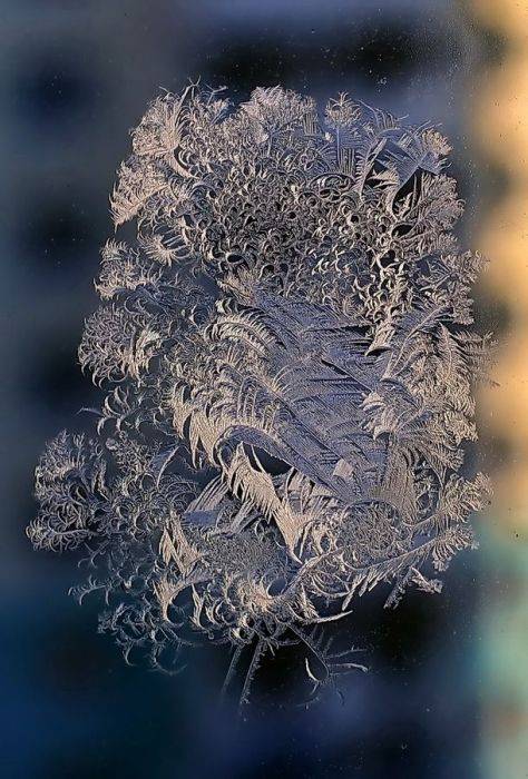 Зима рисует узоры (21 фото)