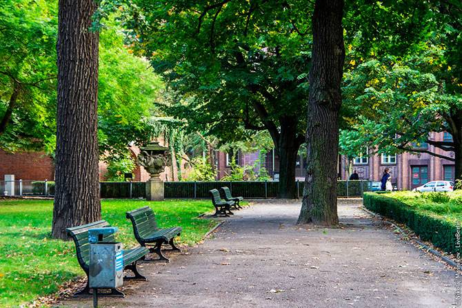 Парк в Берлине и его косолапые жители (26 фото)