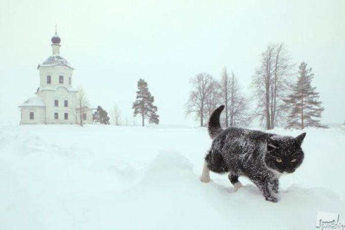 40 самых лучших снимков России за 2012 год (40 фото)
