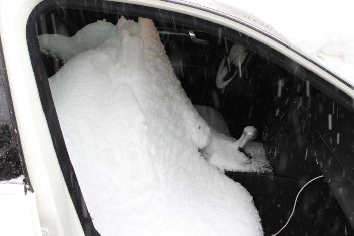 Не оставляйте открытым люк в своем автомобиле (3 фото)