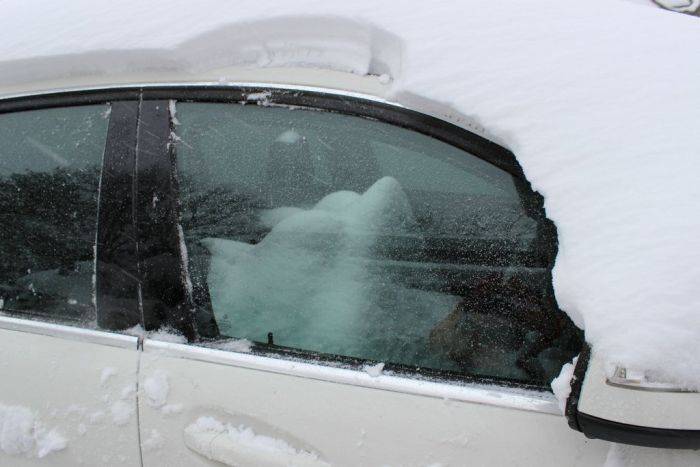 Не оставляйте открытым люк в своем автомобиле (3 фото)