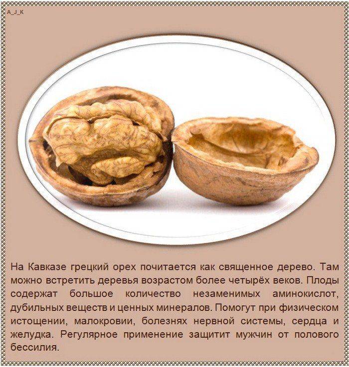 Интересные факты о разных видах орехов (10 фото)