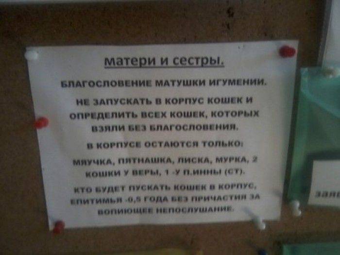 Маразмы в рекламе (61 фото) Маразмы в рекламе (61 фото)