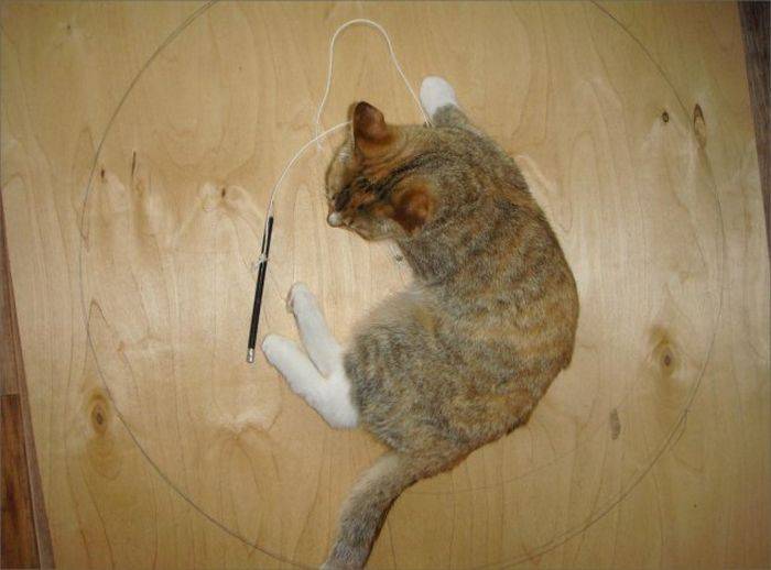 Как сделать уголок для котов своими руками (50 фото)