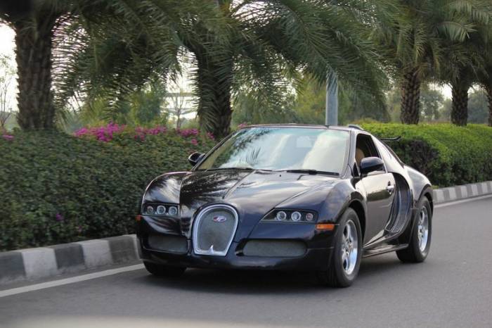Bugatti Veyron из Индии (27 фото)