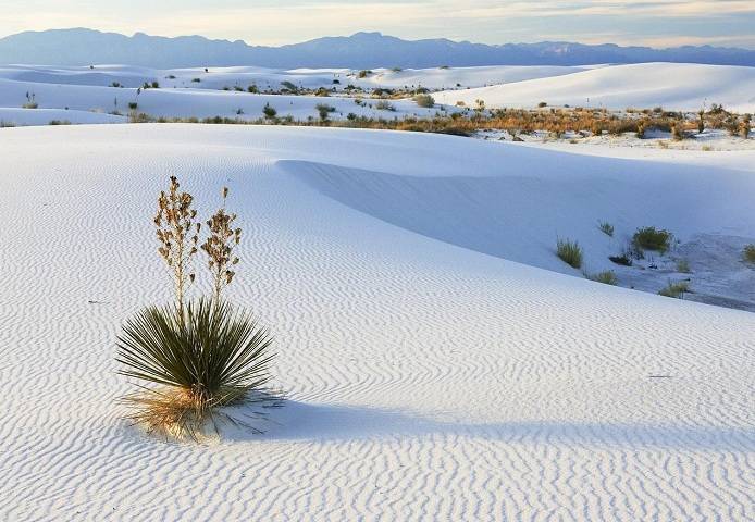    (White Sands Desert) (14 )