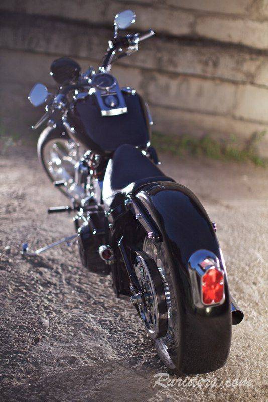     Harley Davidson (13 )
