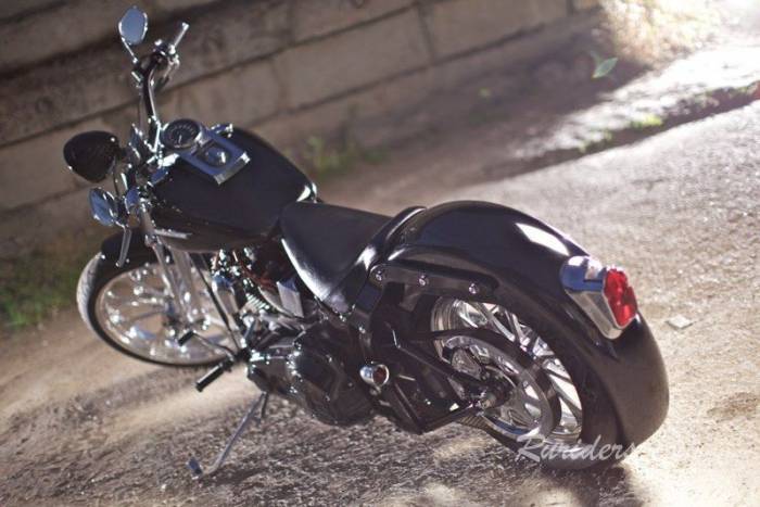     Harley Davidson (13 )