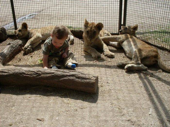 Необычный зоопарк в Аргентине (9 фото)