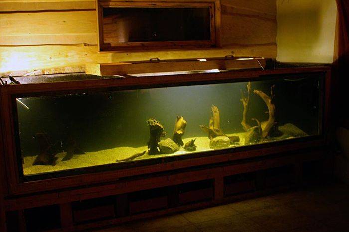 Огромный аквариум своими руками