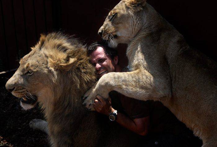 Повелитель львов (13 фото)