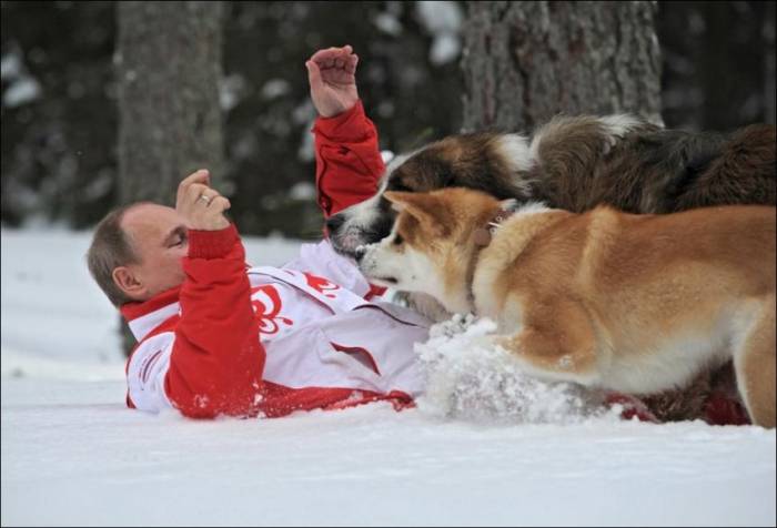 Путин со своими собаками Баффи и Юмэ (6 фото)