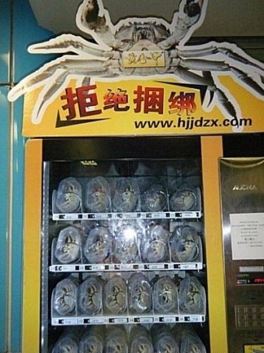 Крабовый автомат в Китае (9 фото)