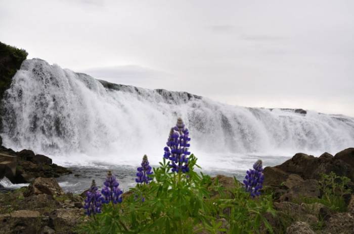 Красоты водопадов Исландии (38 фото)