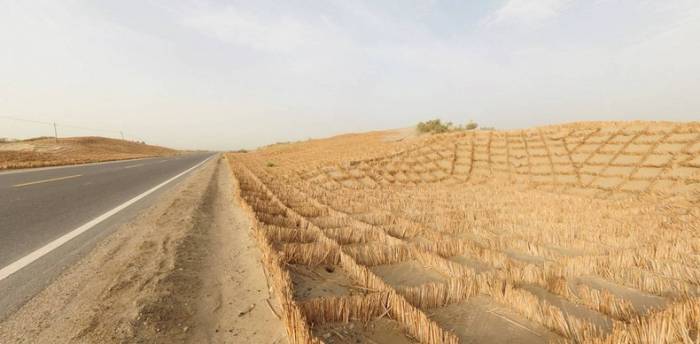 Tarim Desert Highway - самое длинное шоссе через пустыню (8 фото)