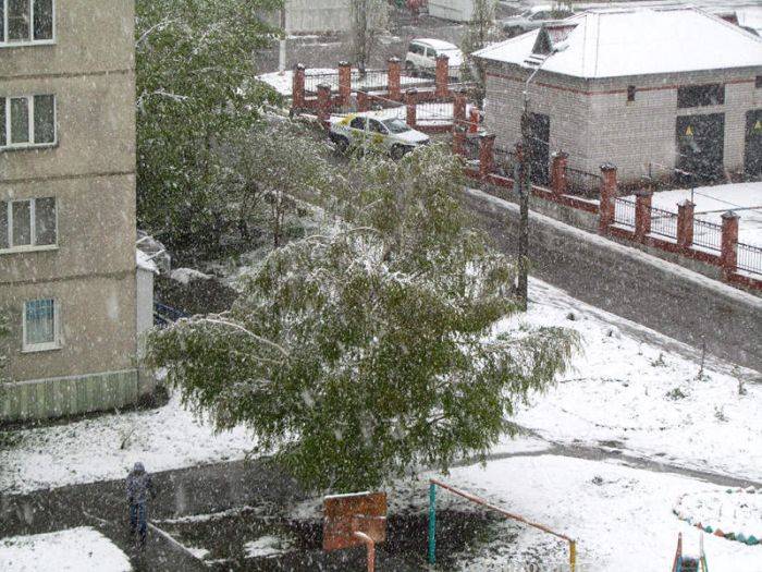 Алтайский край неожиданно завалило снегом (11 фото)