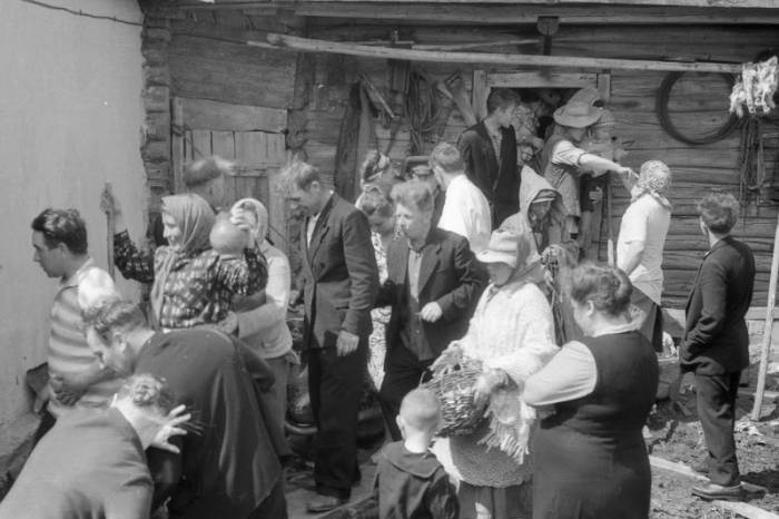 Свадьба в Рязанской области (56 фото)