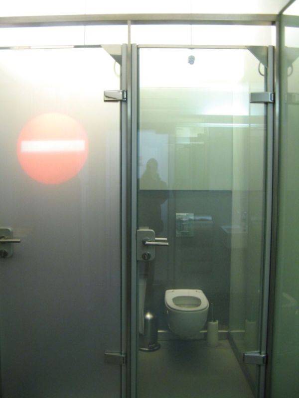 Прозрачная дверь в туалет (2 фото )