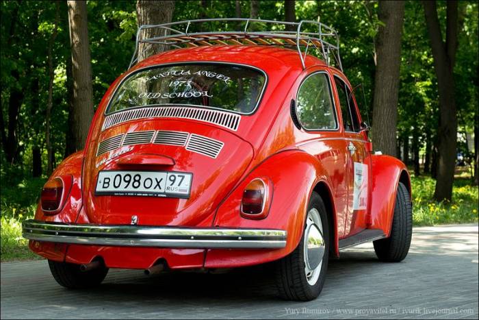 Встреча владельцев VW Beetle (64 фото)