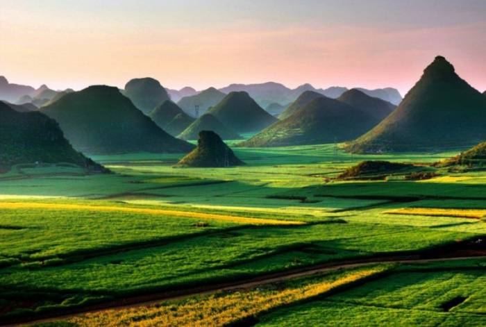 Красивые желтые поля в Китае 
