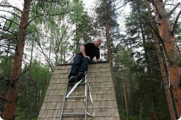 В Швеции открылся отель на дереве (14 фото) 
