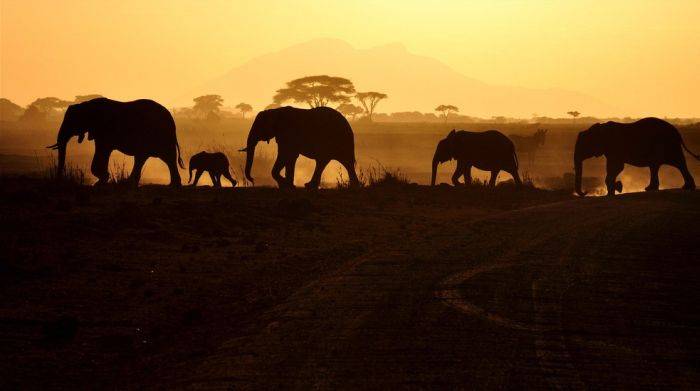 Красивая Африка (26 фото)