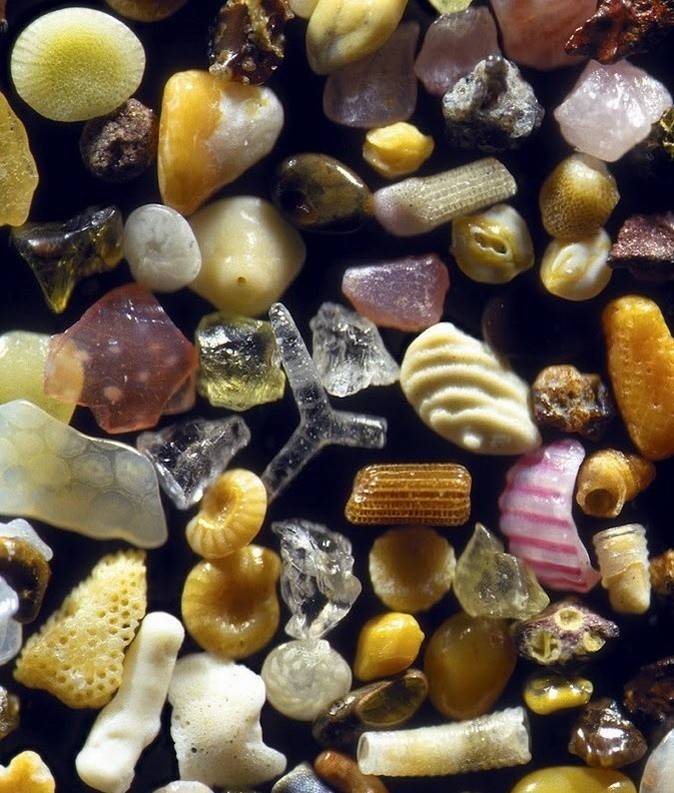 Самый обычный песок под микроскопом