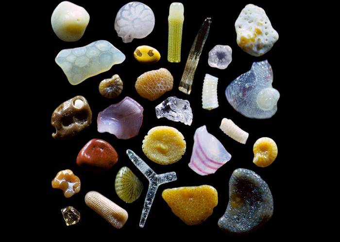Самый обычный песок под микроскопом