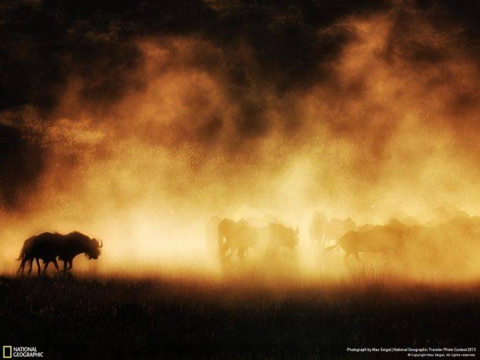 Красивые фотографии от National Geographic (35 фото)
