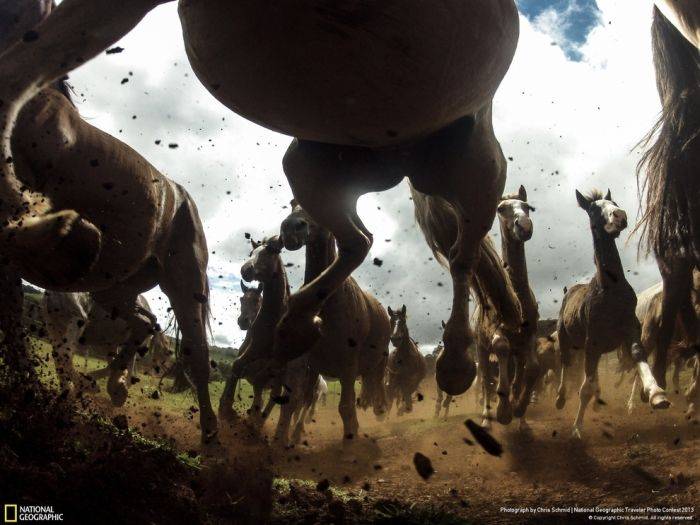 Красивые фотографии от National Geographic (35 фото)