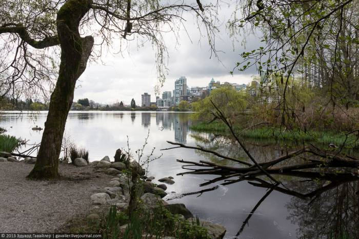 Ванкувер: Стэнли Парк и небоскрёбы (35 фото)