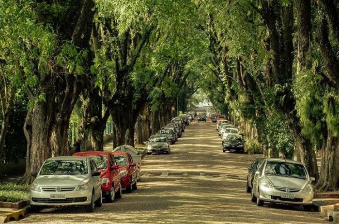 Руа-Гонсалу-де-Карвальо. Самая красивая улица в мире (6 фото)
