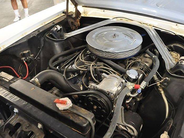 Лимузин Ford Mustang 1966 (13 фото)