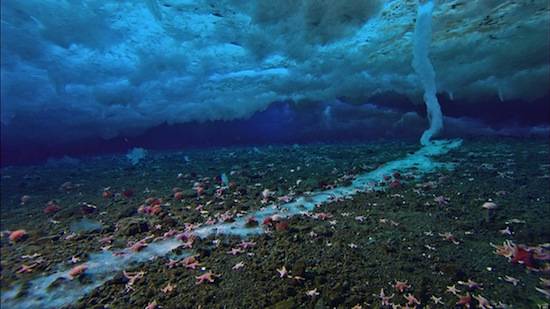 В арктических морях подо льдом есть огромные сосульки
