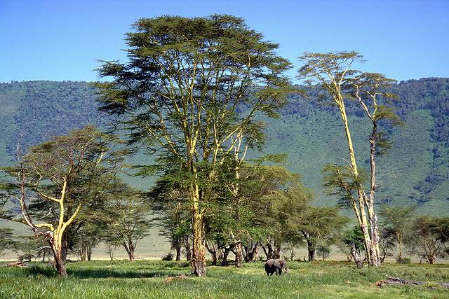 Достопримечательности Танзании (11 фото)