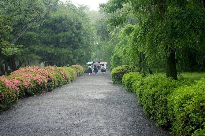 Сады замка Нидзё (25 фото)