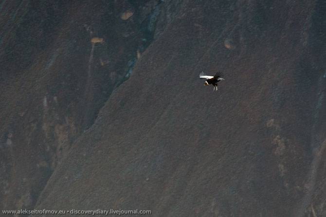 Спуск в глубочайший каньон на Земле (27 фото)