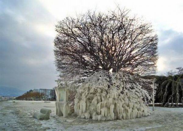 Красивые последствия зимнего шторма (25 фото)