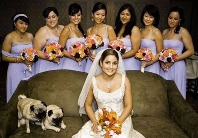 Фотобомберы портят свадебные фотки (47 фото)