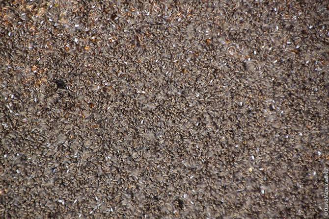 Оазисы в бесконечном море песков Африки (53 фото)
