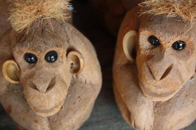 10 удивительных фактов о кокосах (10 фото)