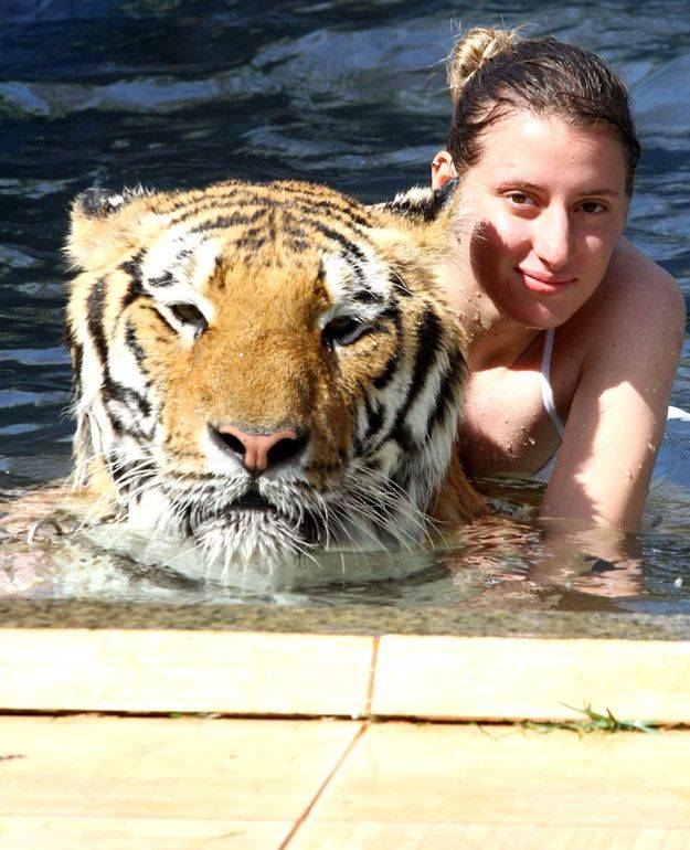 Тигр в качестве домашнего животного (14 фото)