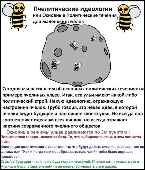 Пчелиная политика (19 картинок)
