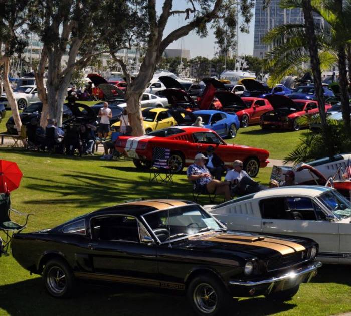 Встреча владельцев Mustang в США (43 фото)